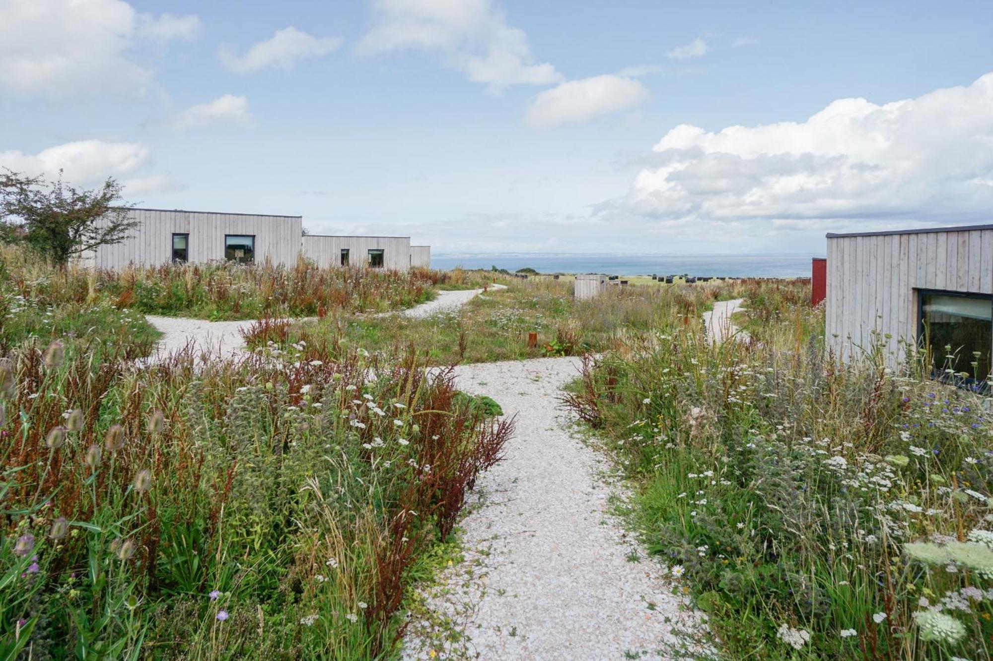 Rustic Cabins, Sea Views From Rewilded Farm With Highland Cows St Andrews Luaran gambar
